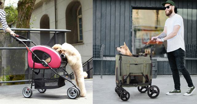 Hunde Kinderwagen