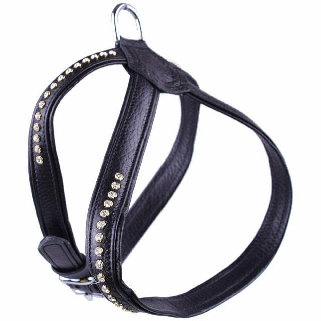 Luxus Hundebrustgeschirre aus Leder